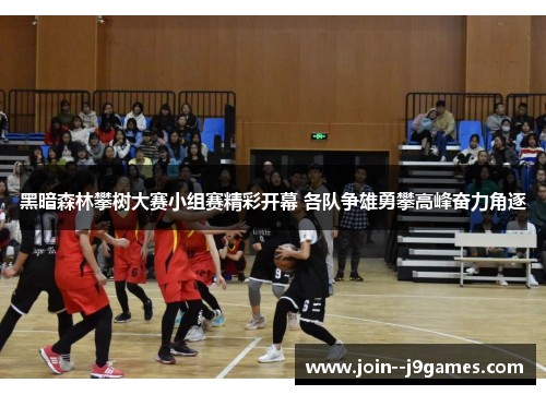 黑暗森林攀树大赛小组赛精彩开幕 各队争雄勇攀高峰奋力角逐